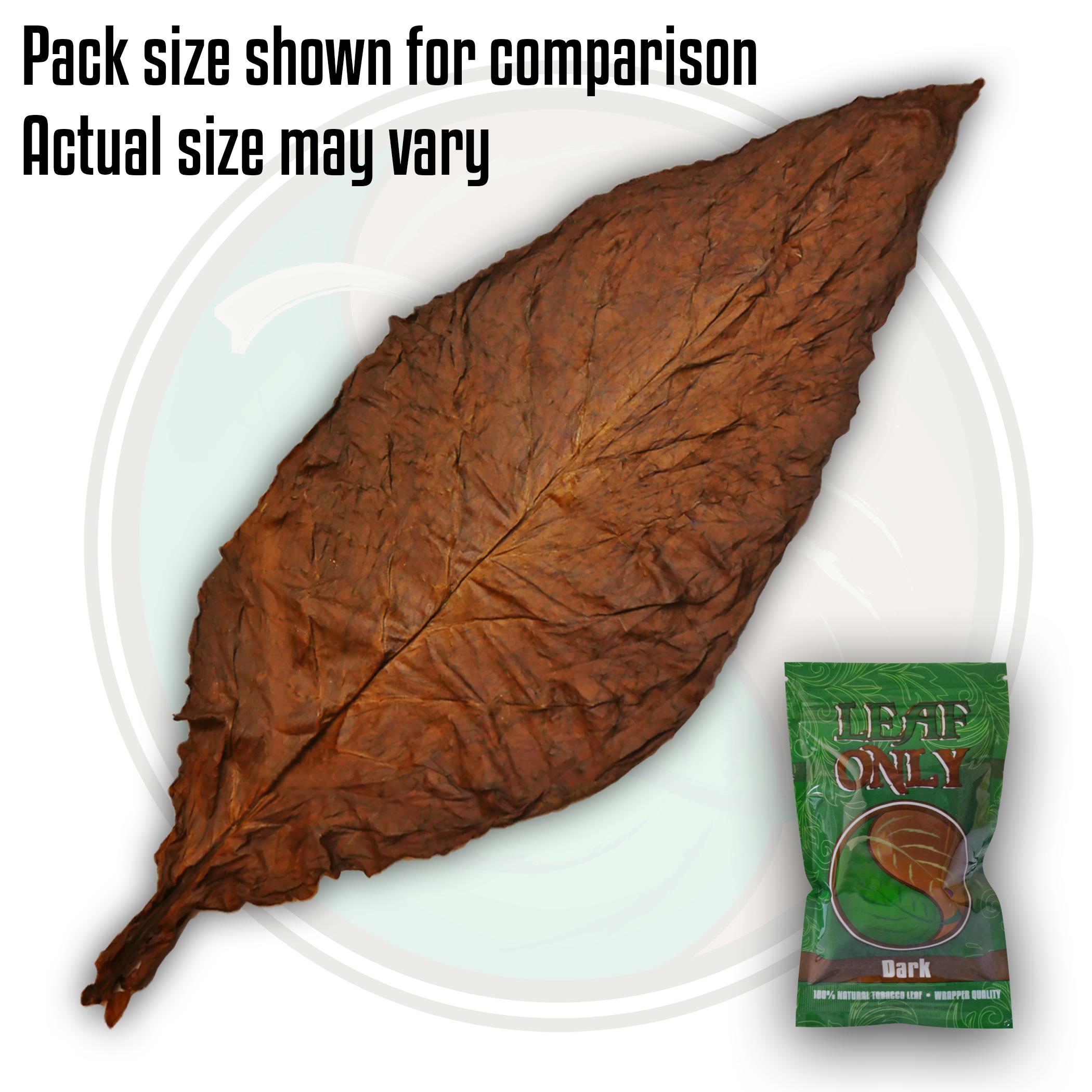 Fronto leaf near me